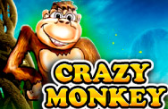 Crazy Monkey