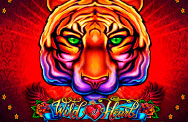 Игровой автомат Wild at Heart